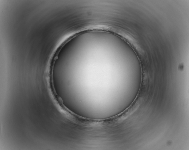X0000102541038200808221924