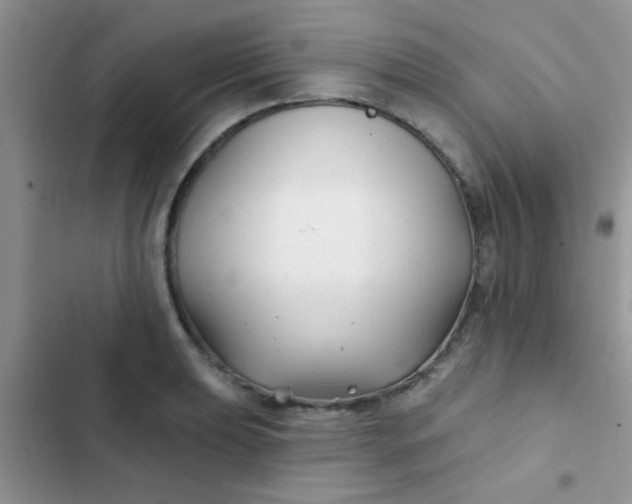 X0000102541039200808221924