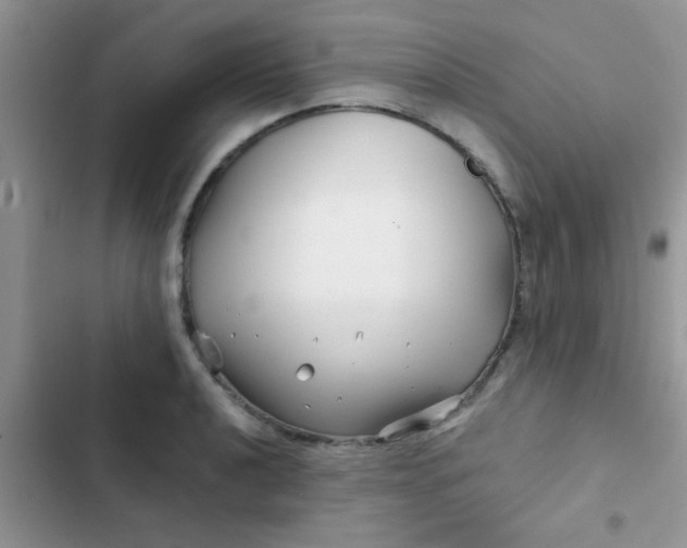 X0000102541040200808221924