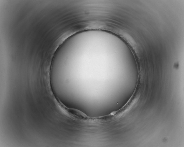 X0000102541041200808221924