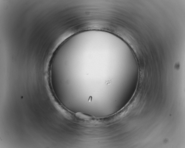X0000102541042200808221924