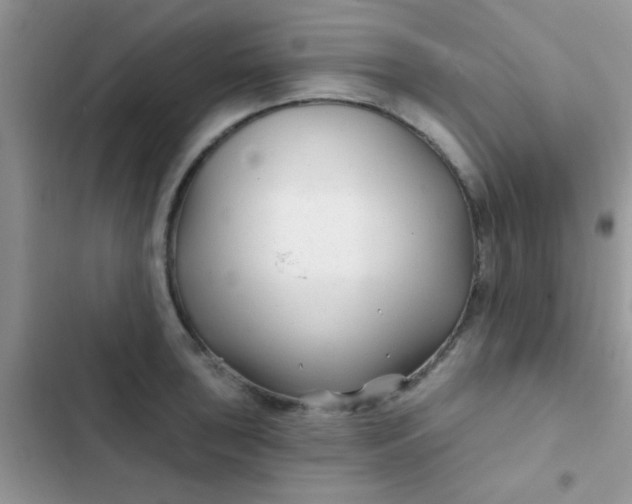 X0000102541043200808221924