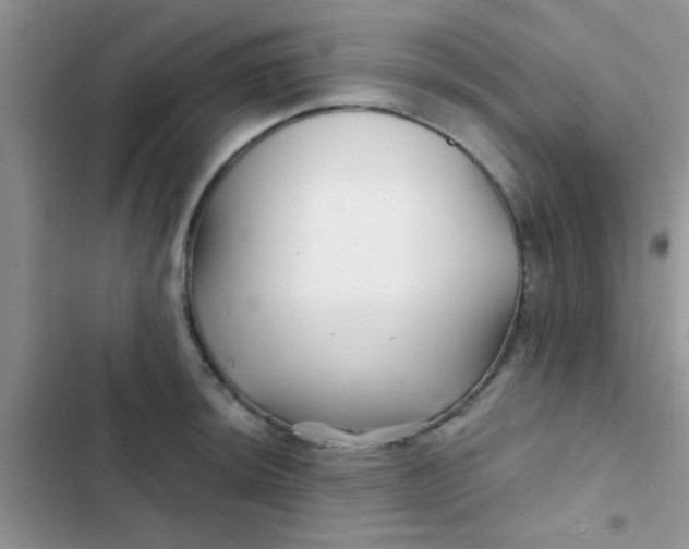 X0000102541044200808221924