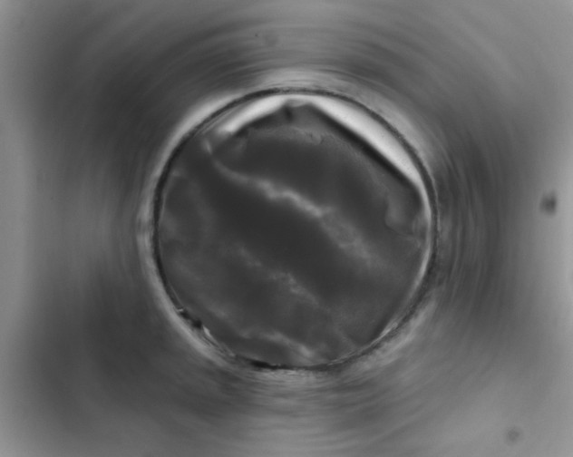 X0000102541045200808221924