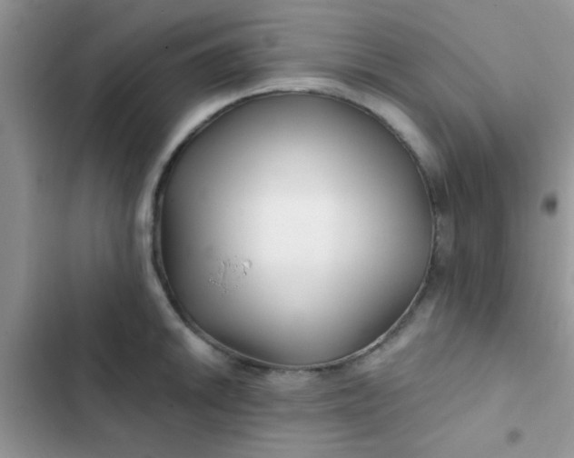 X0000102541046200808221924