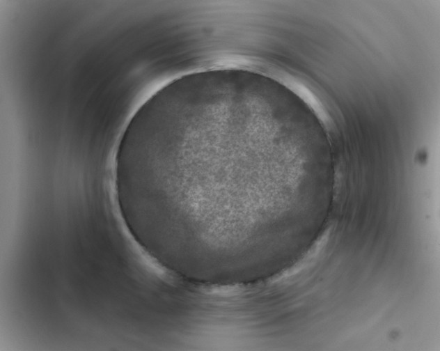 X0000102541047200808221924