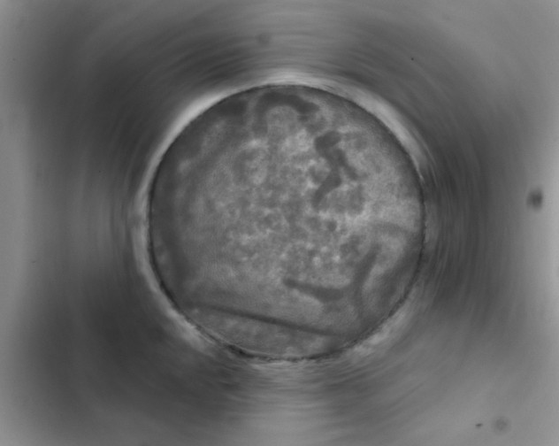X0000102541048200808221924