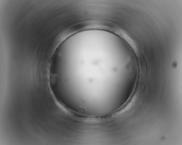 X0000102541049200808221924