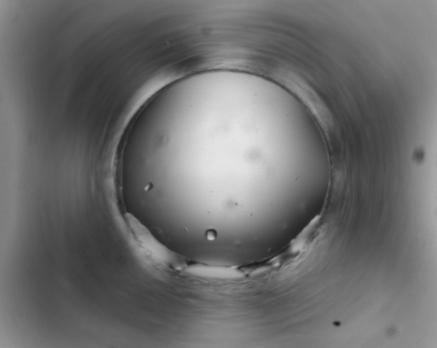 X0000102541050200808221924