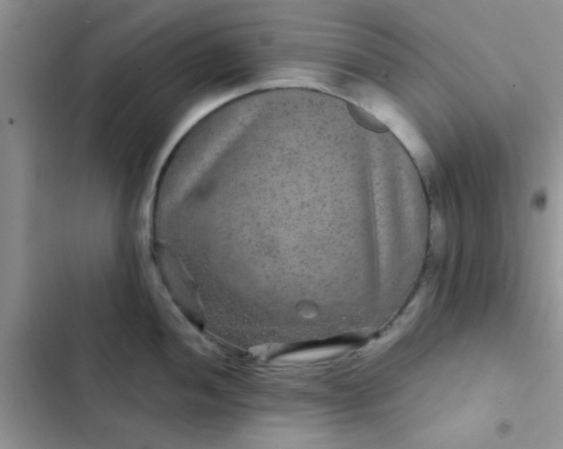 X0000102541052200808221924