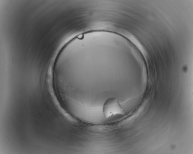 X0000102541053200808221924