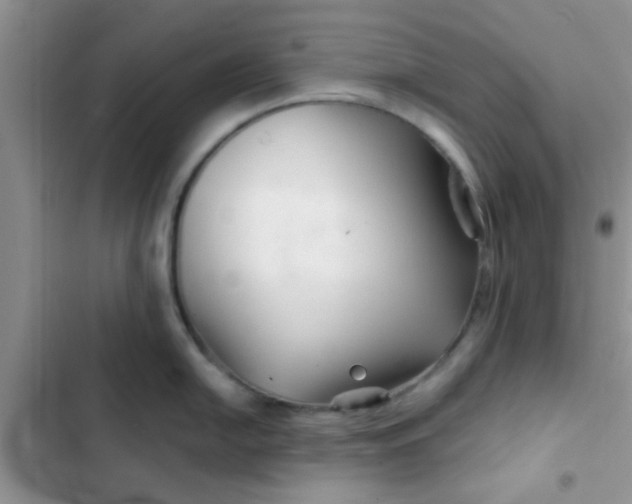 X0000102541054200808221924