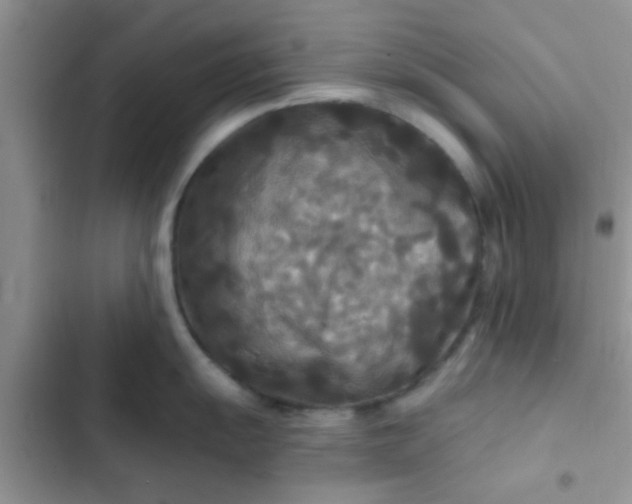 X0000102541055200808221925