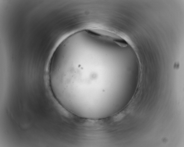 X0000102541056200808221925
