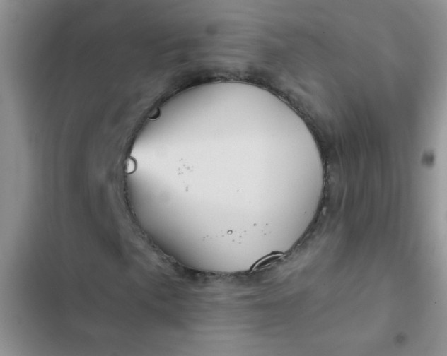 X0000102541057200808221924