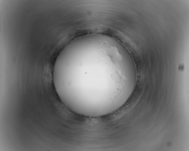 X0000102541058200808221924