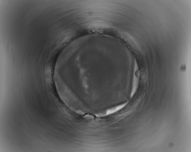 X0000102541060200808221924