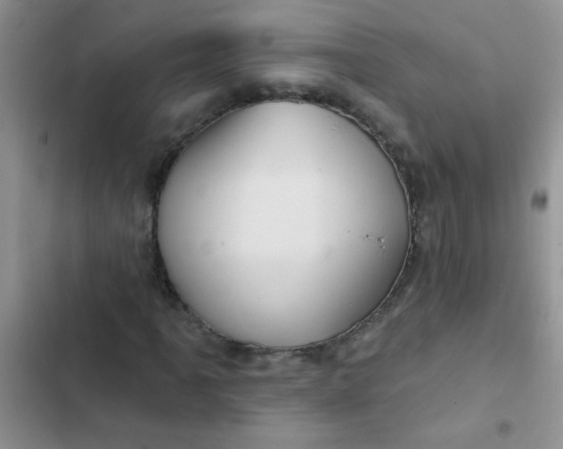 X0000102541061200808221924