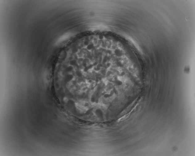 X0000102541063200808221924