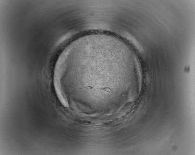 X0000102541064200808221924
