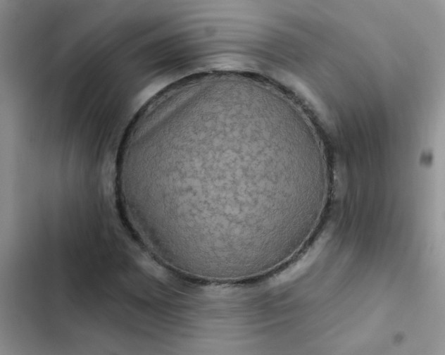 X0000102541065200808221924