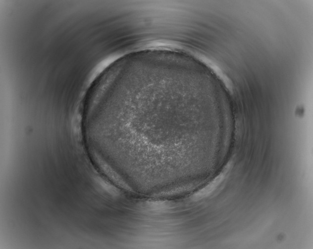 X0000102541066200808221924
