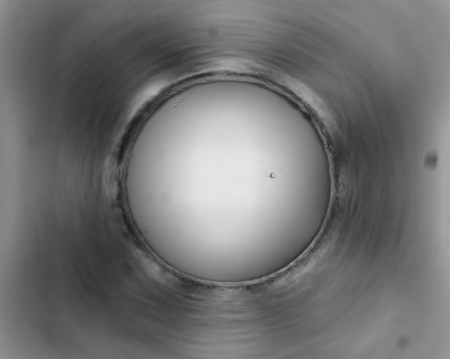 X0000102541067200808221923