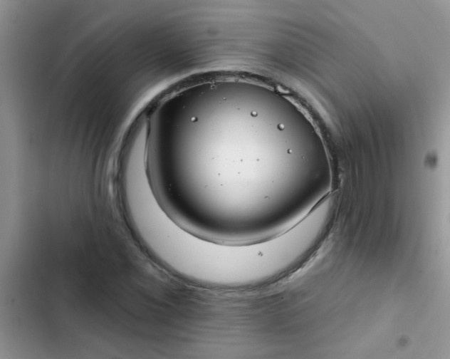 X0000102541069200808221923