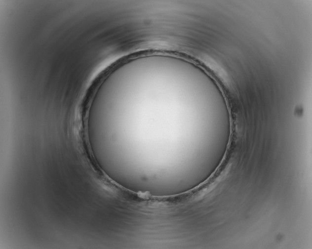 X0000102541070200808221923
