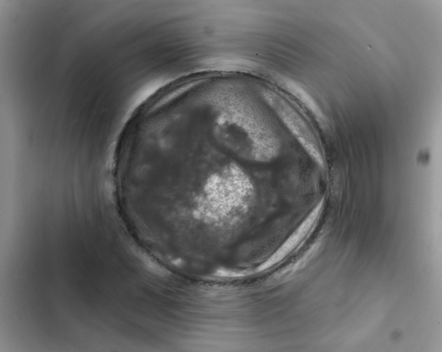 X0000102541071200808221923