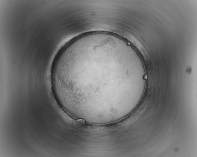 X0000102541072200808221923