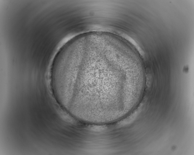 X0000102541074200808221923