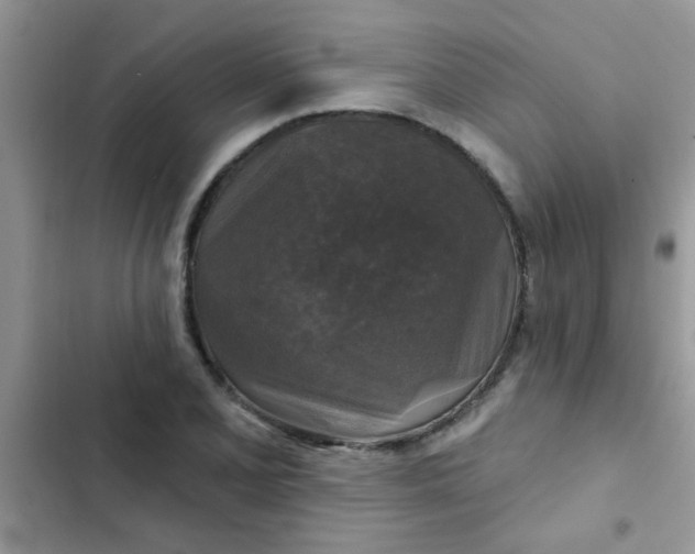X0000102541077200808221923