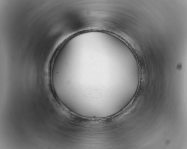 X0000102541078200808221923