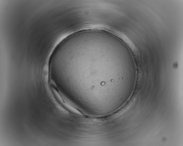 X0000102541079200808221923