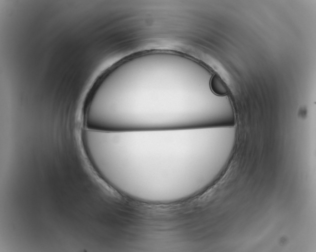 X0000102541080200808221923
