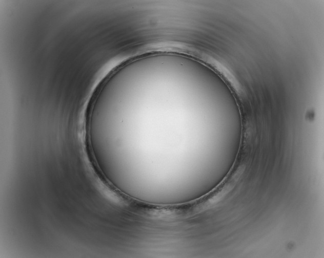 X0000102541082200808221923