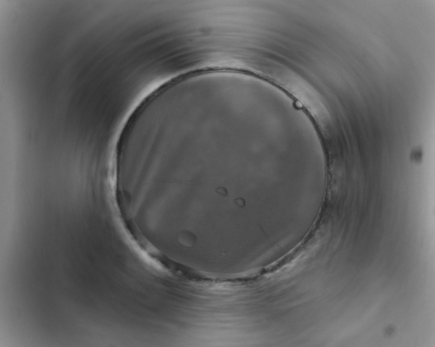 X0000102541084200808221923