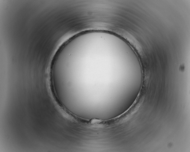 X0000102541085200808221923