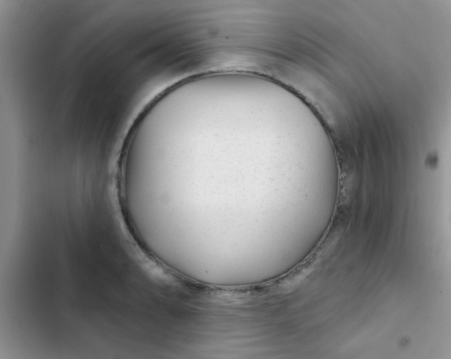 X0000102541086200808221923