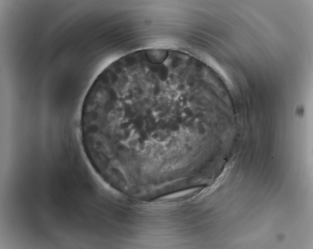 X0000102541087200808221923