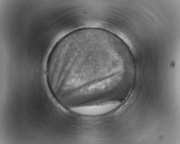 X0000102541088200808221923