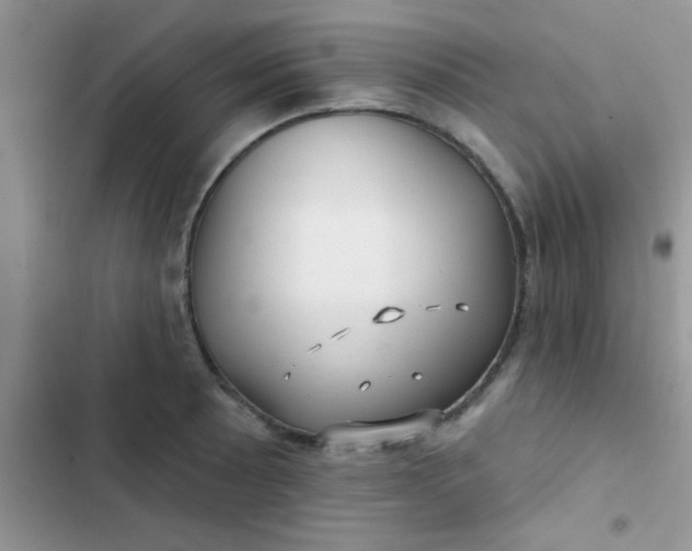 X0000102541089200808221923