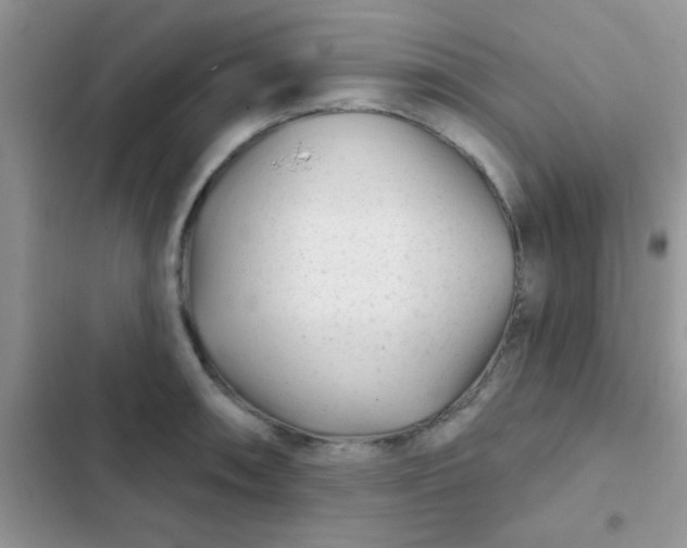 X0000102541090200808221923