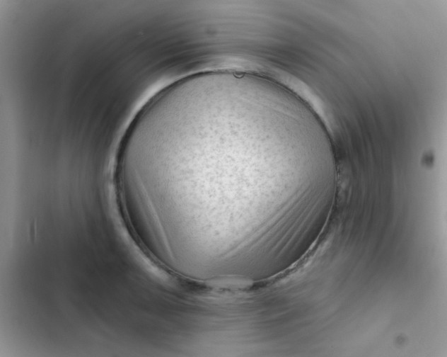 X0000102541091200808221923