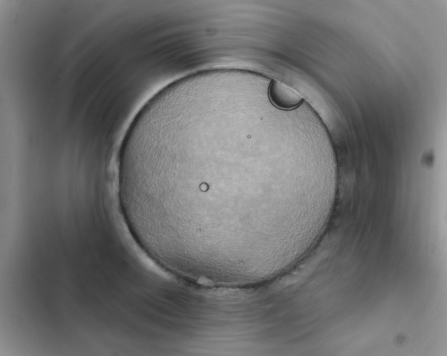 X0000102541092200808221923