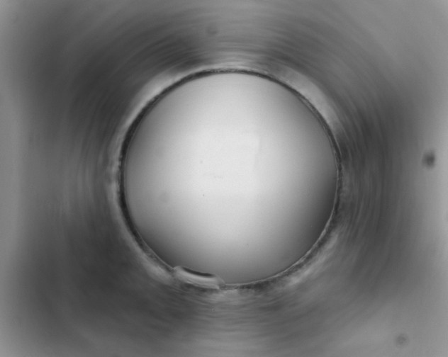 X0000102541093200808221923