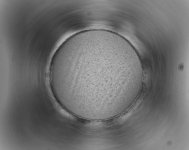 X0000102541094200808221923