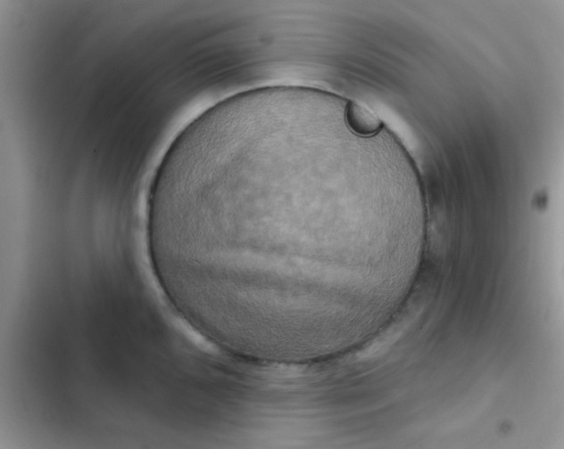 X0000102541096200808221923