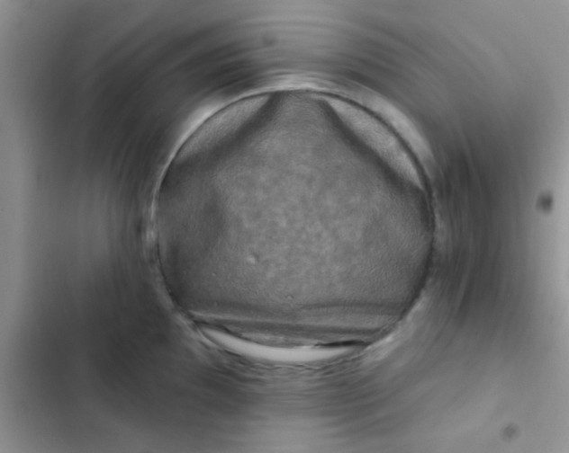 X0000102541097200808221923